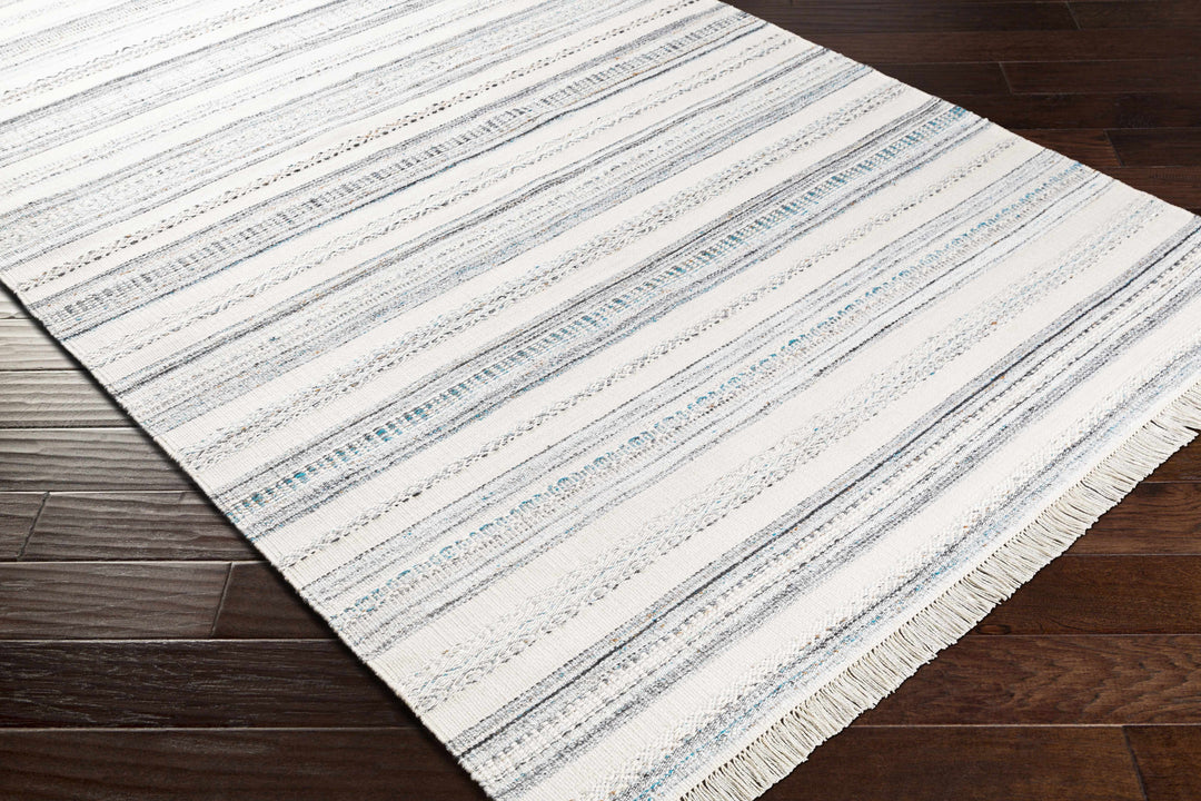 Coolbellup Modern Style Blue And Ivory Hand Woven Area Rug