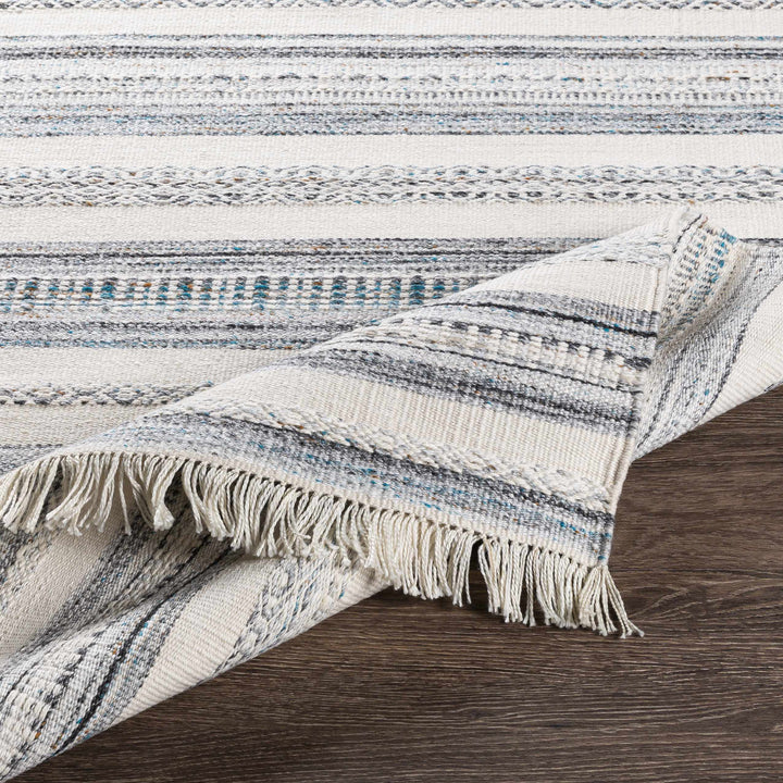 Coolbellup Modern Style Blue And Ivory Hand Woven Area Rug
