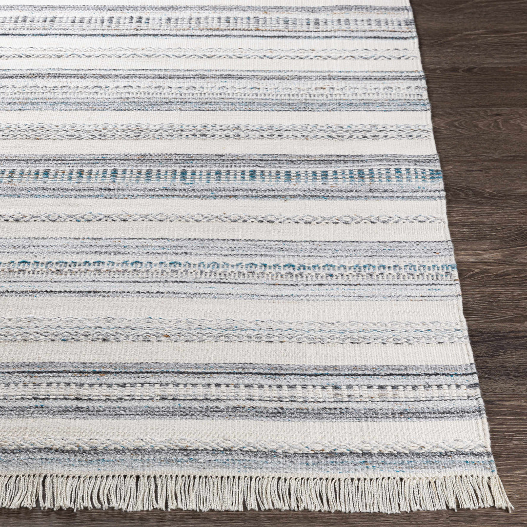 Coolbellup Modern Style Blue And Ivory Hand Woven Area Rug
