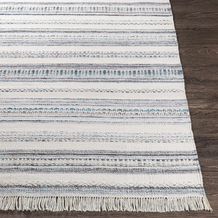 Coolbellup Modern Style Blue And Ivory Hand Woven Area Rug