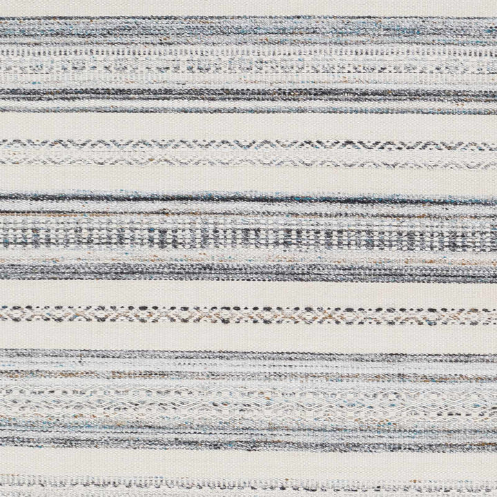 Coolbellup Modern Style Blue And Ivory Hand Woven Area Rug