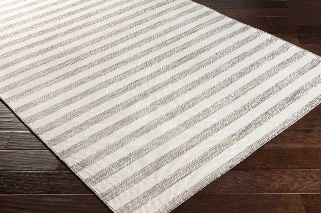 Clackmannanshire Gray And Ivory Modern Style Outdoor Area Rug