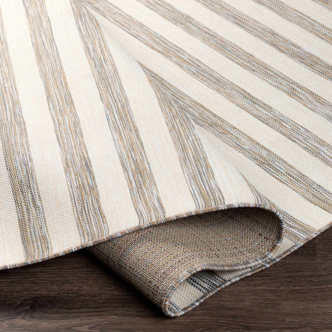 Clackmannanshire Gray And Ivory Modern Style Outdoor Area Rug