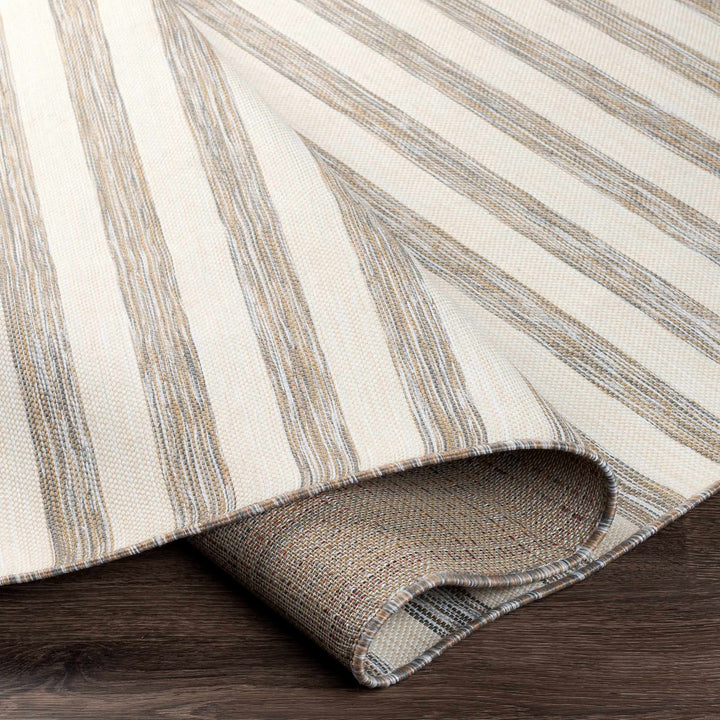 Clackmannanshire Gray And Ivory Modern Style Outdoor Area Rug