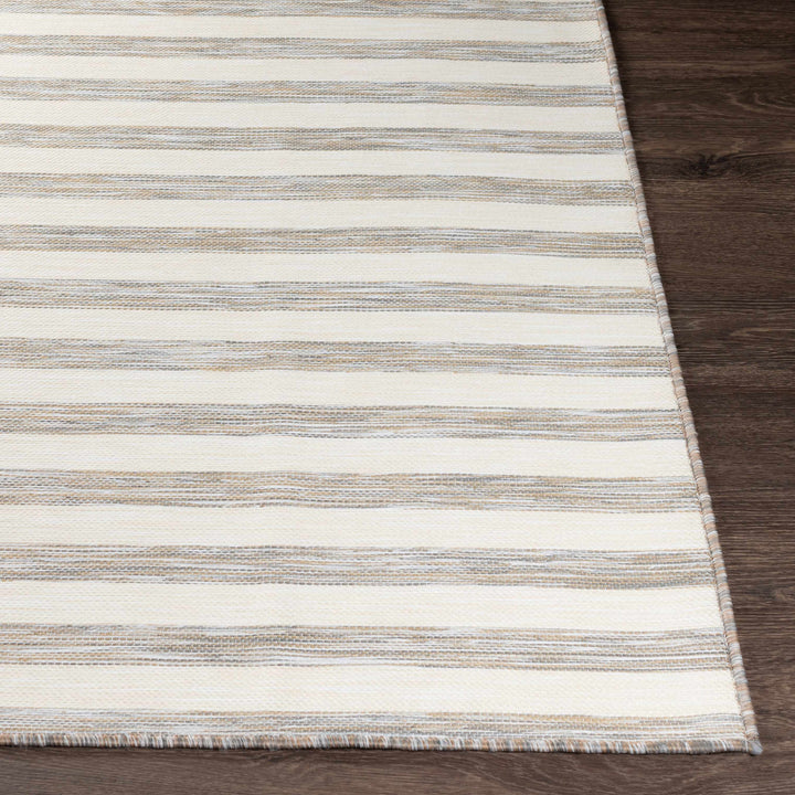 Clackmannanshire Gray And Ivory Modern Style Outdoor Area Rug