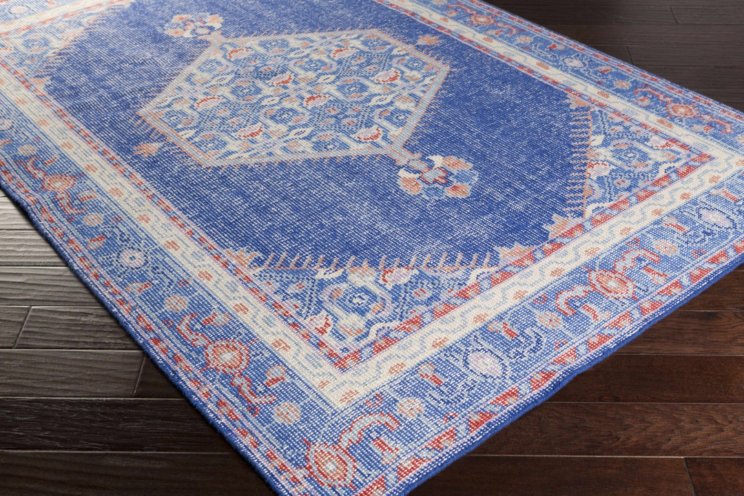 Clearview Traditional Style Blue And Beige Wool Area Rug - The Rug Decor