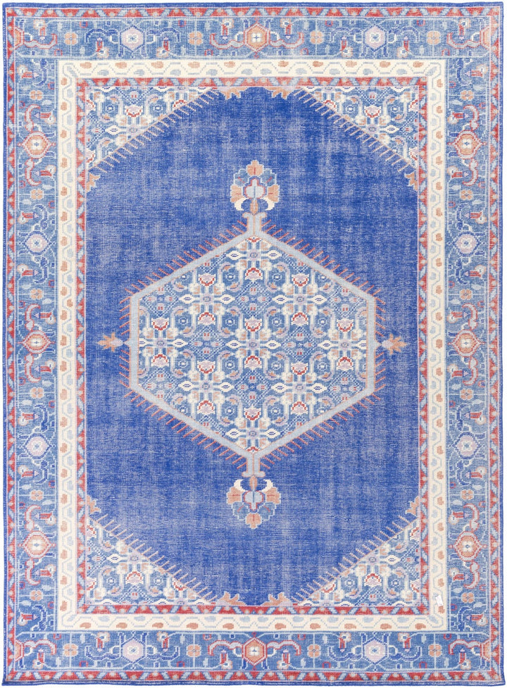 Clearview Traditional Style Blue And Beige Wool Area Rug - The Rug Decor