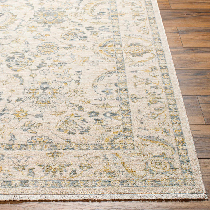 Clee Traditional Beige And Gray Rug - The Rug Decor