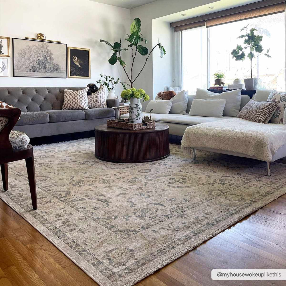 Clee Traditional Beige And Gray Rug - The Rug Decor
