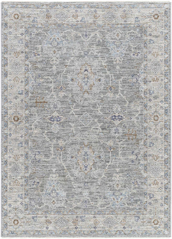 Clem Traditional Style Gray Area Rug - The Rug Decor