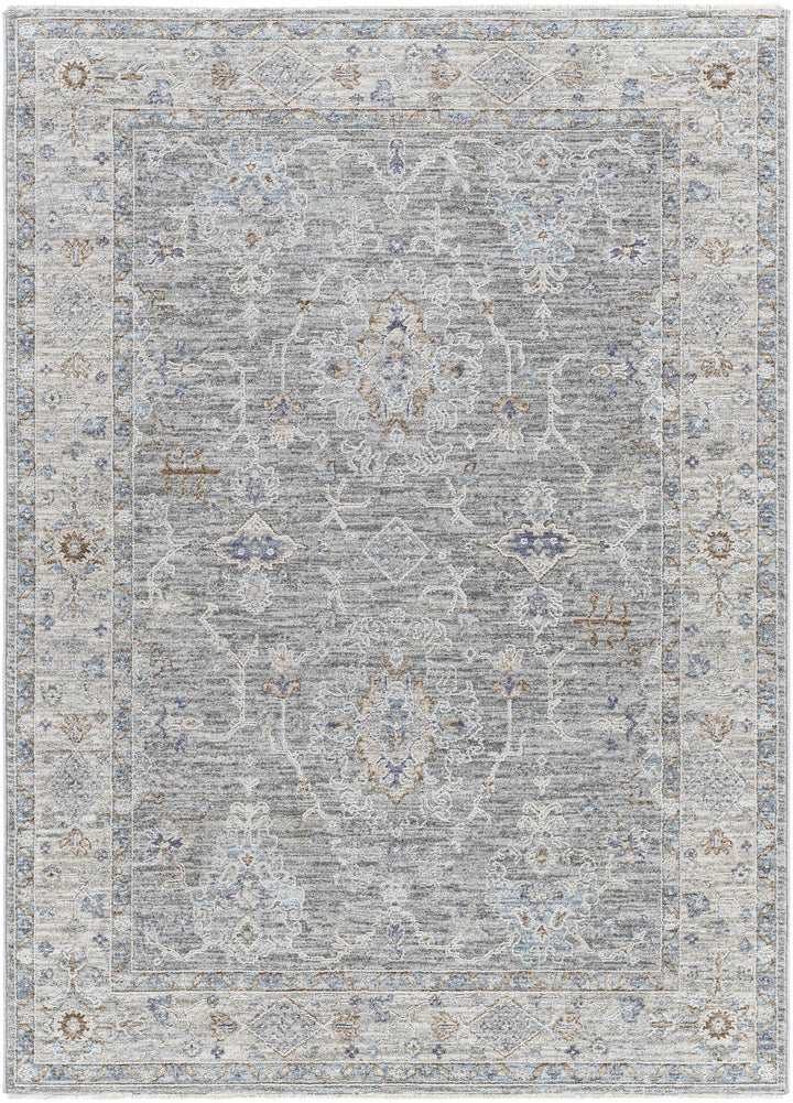 Clem Traditional Style Gray Area Rug