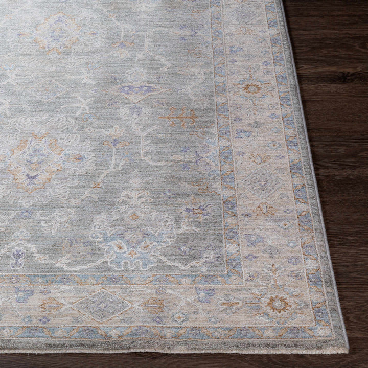 Clem Traditional Style Gray Area Rug