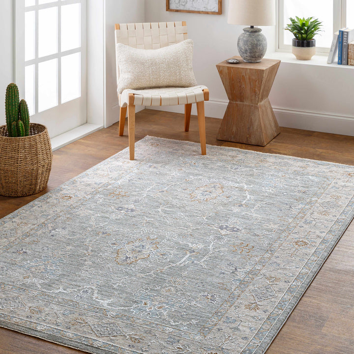 Clem Traditional Style Gray Area Rug