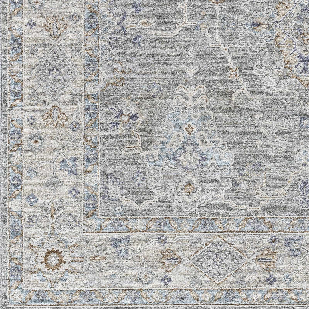 Clem Traditional Style Gray Area Rug