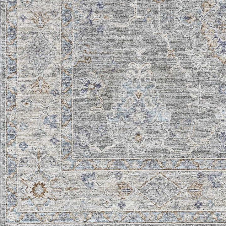 Clem Traditional Style Gray Area Rug