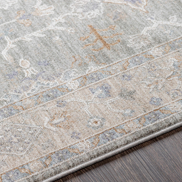 Clem Traditional Style Gray Area Rug