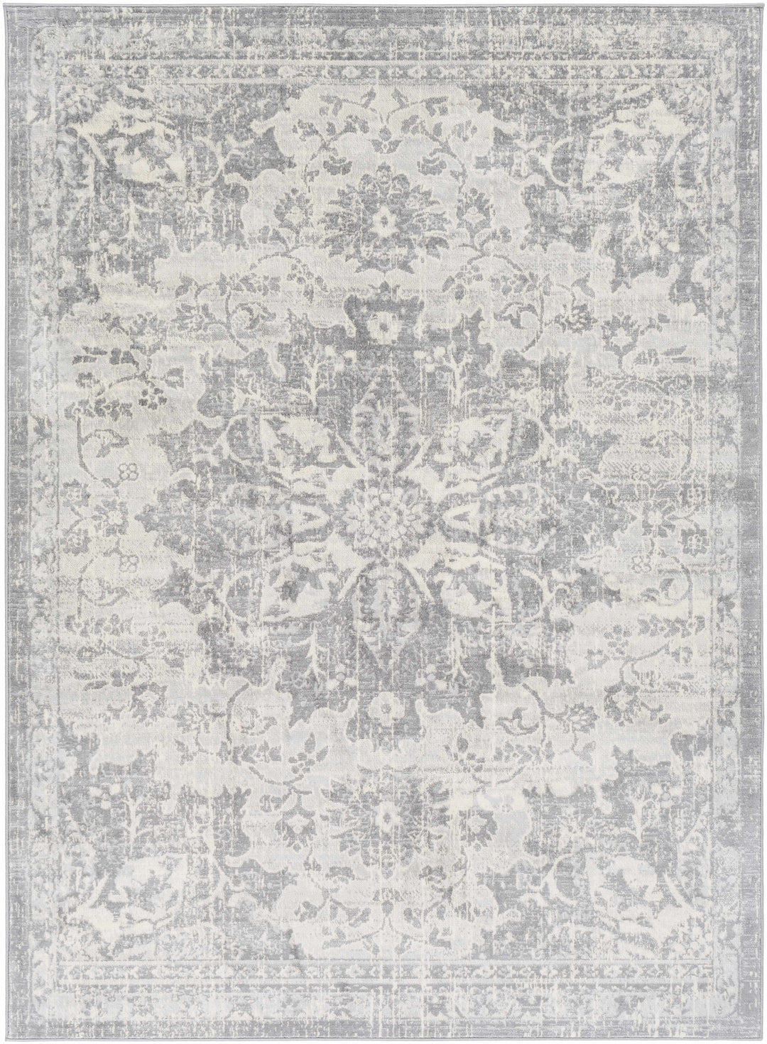 Colonie Traditional Style Gray Area Rug