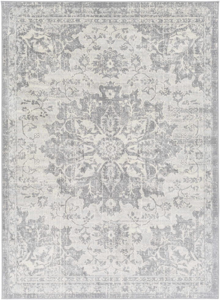 Colonie Traditional Style Gray Area Rug
