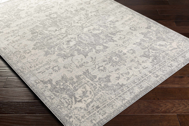 Colonie Traditional Style Gray Area Rug