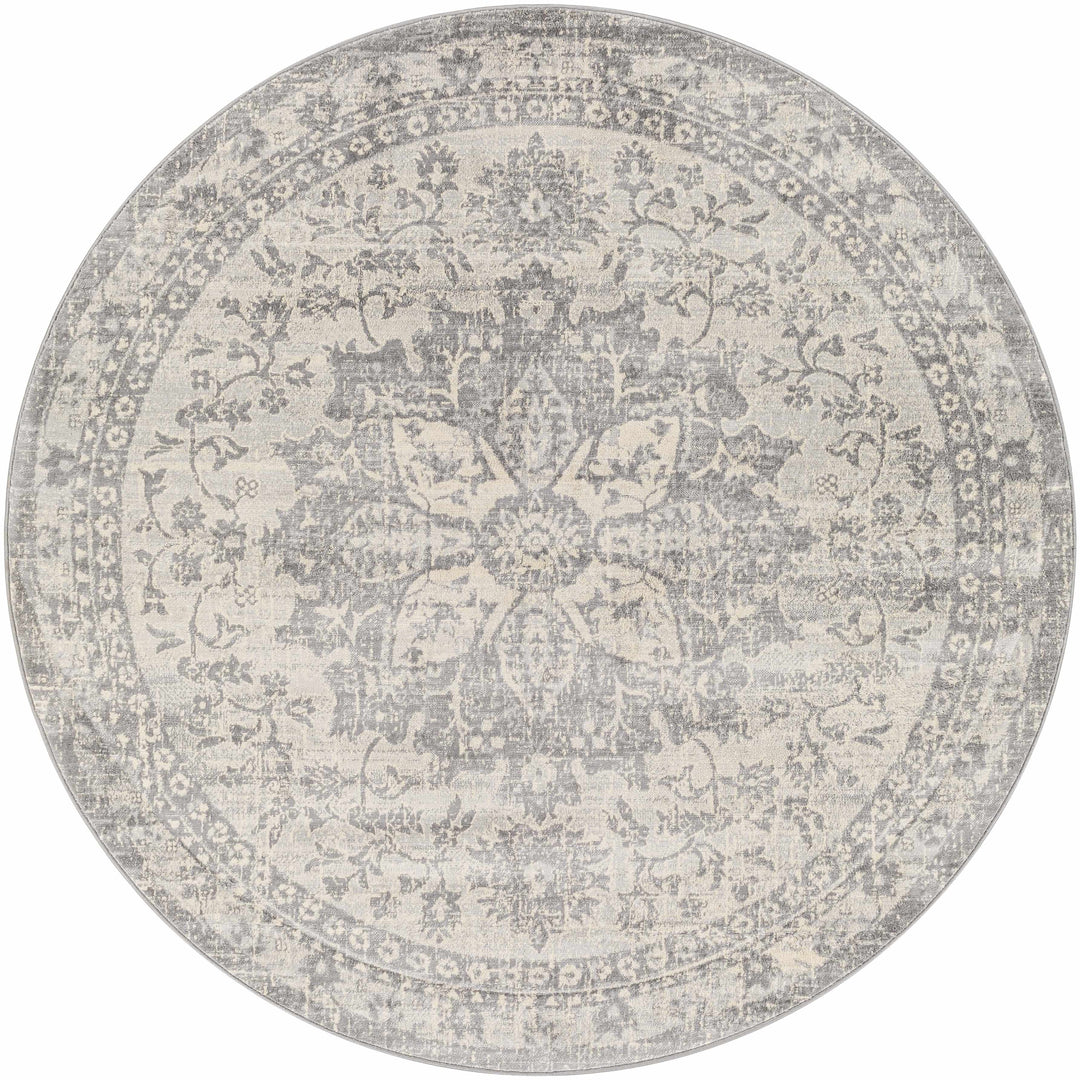 Colonie Traditional Style Gray Area Rug