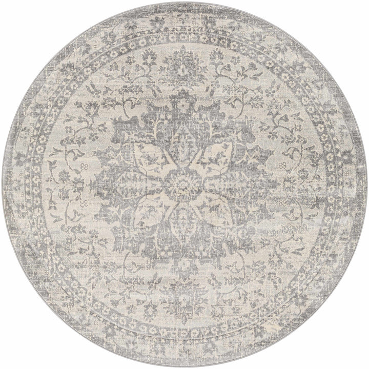Colonie Traditional Style Gray Area Rug