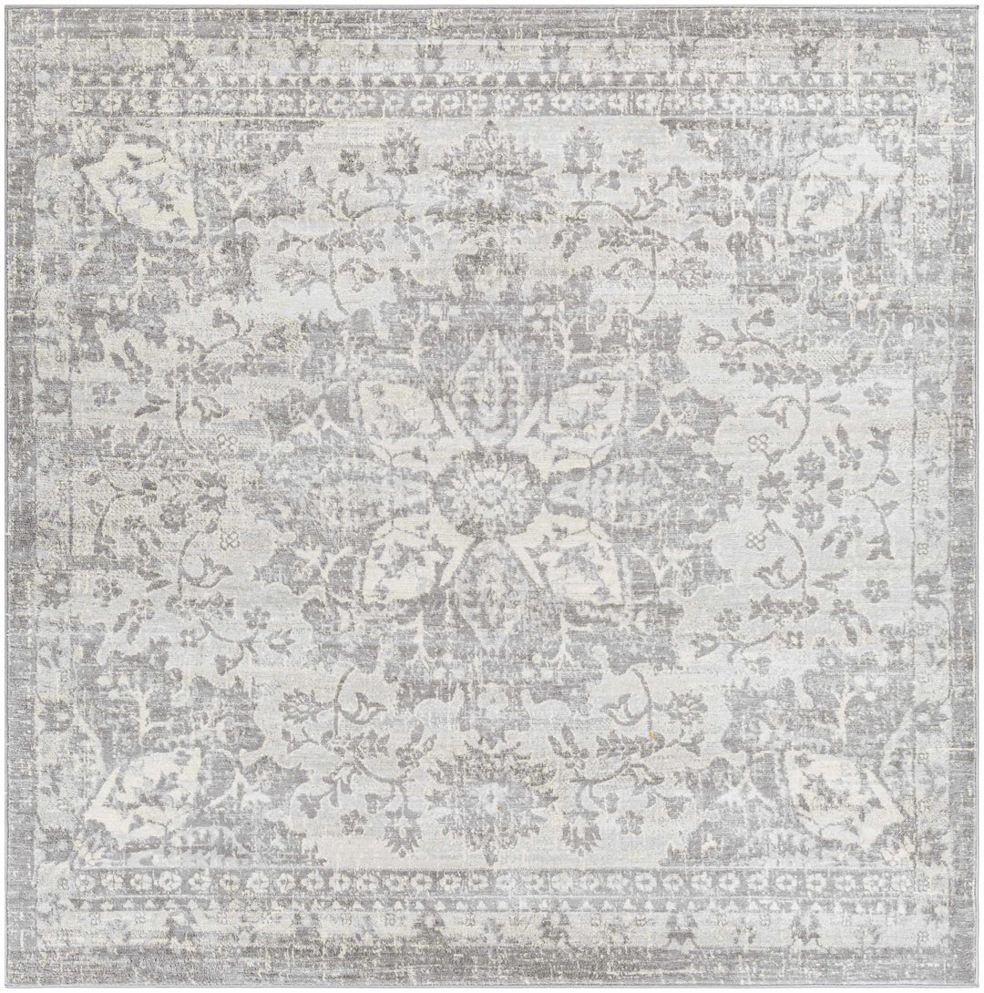 Colonie Traditional Style Gray Area Rug