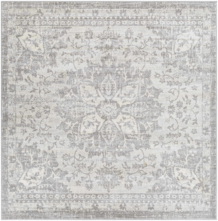 Colonie Traditional Style Gray Area Rug