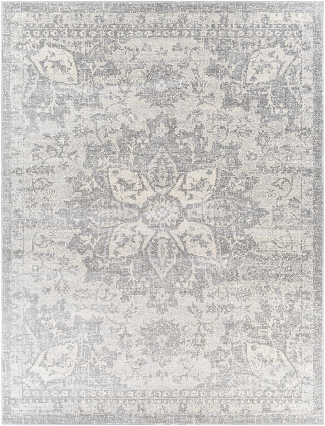 Colonie Traditional Style Gray Area Rug
