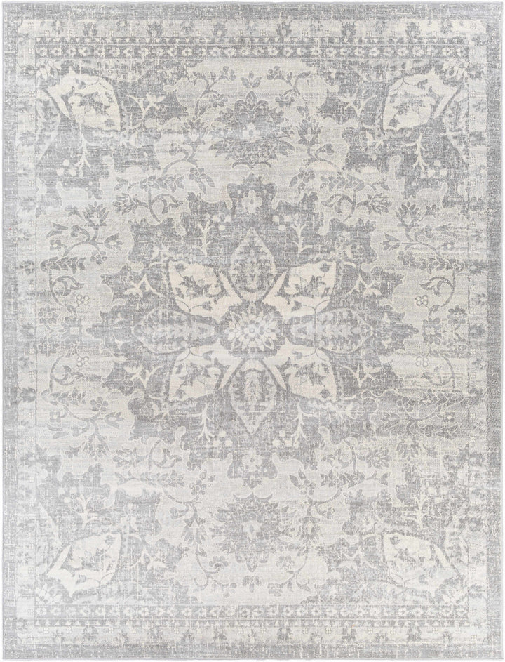 Colonie Traditional Style Gray Area Rug