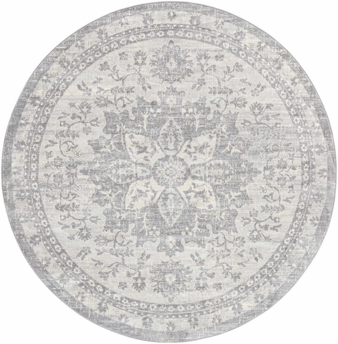 Colonie Traditional Style Gray Area Rug