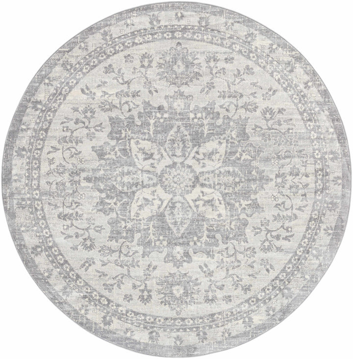 Colonie Traditional Style Gray Area Rug