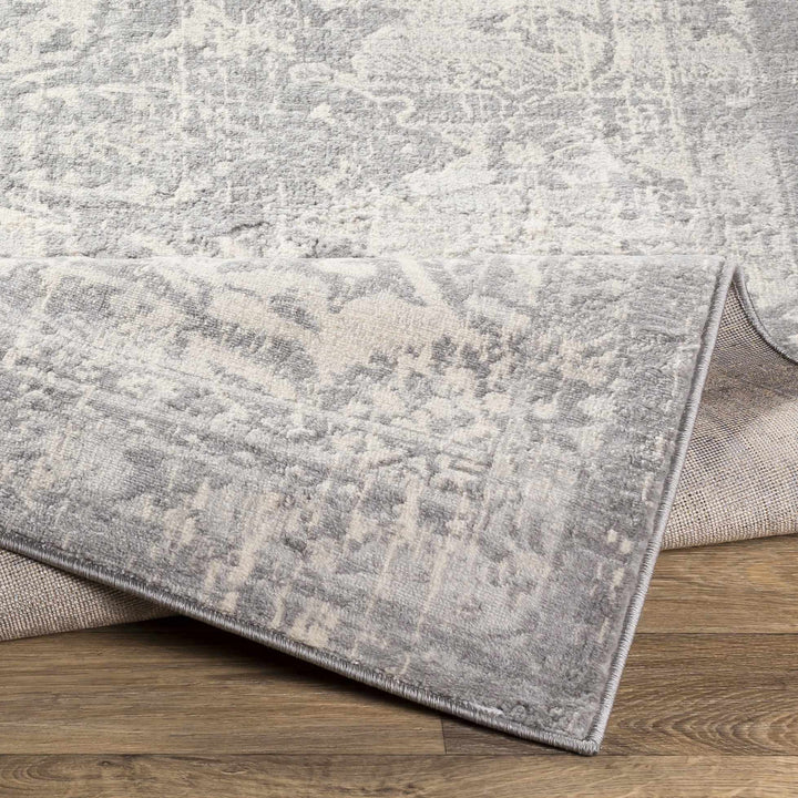 Colonie Traditional Style Gray Area Rug