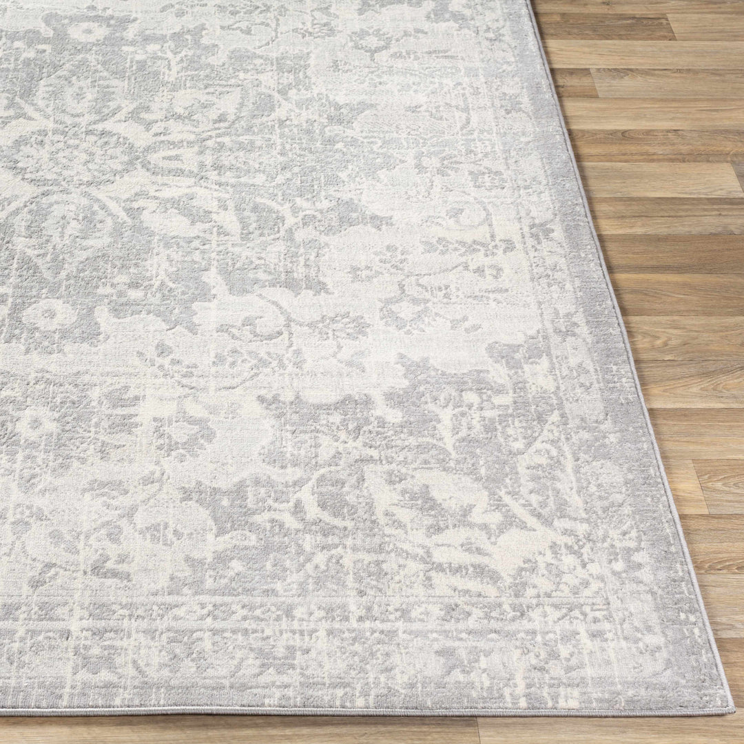 Colonie Traditional Style Gray Area Rug