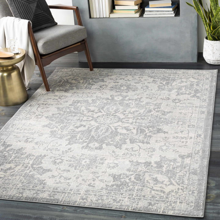 Colonie Traditional Style Gray Area Rug
