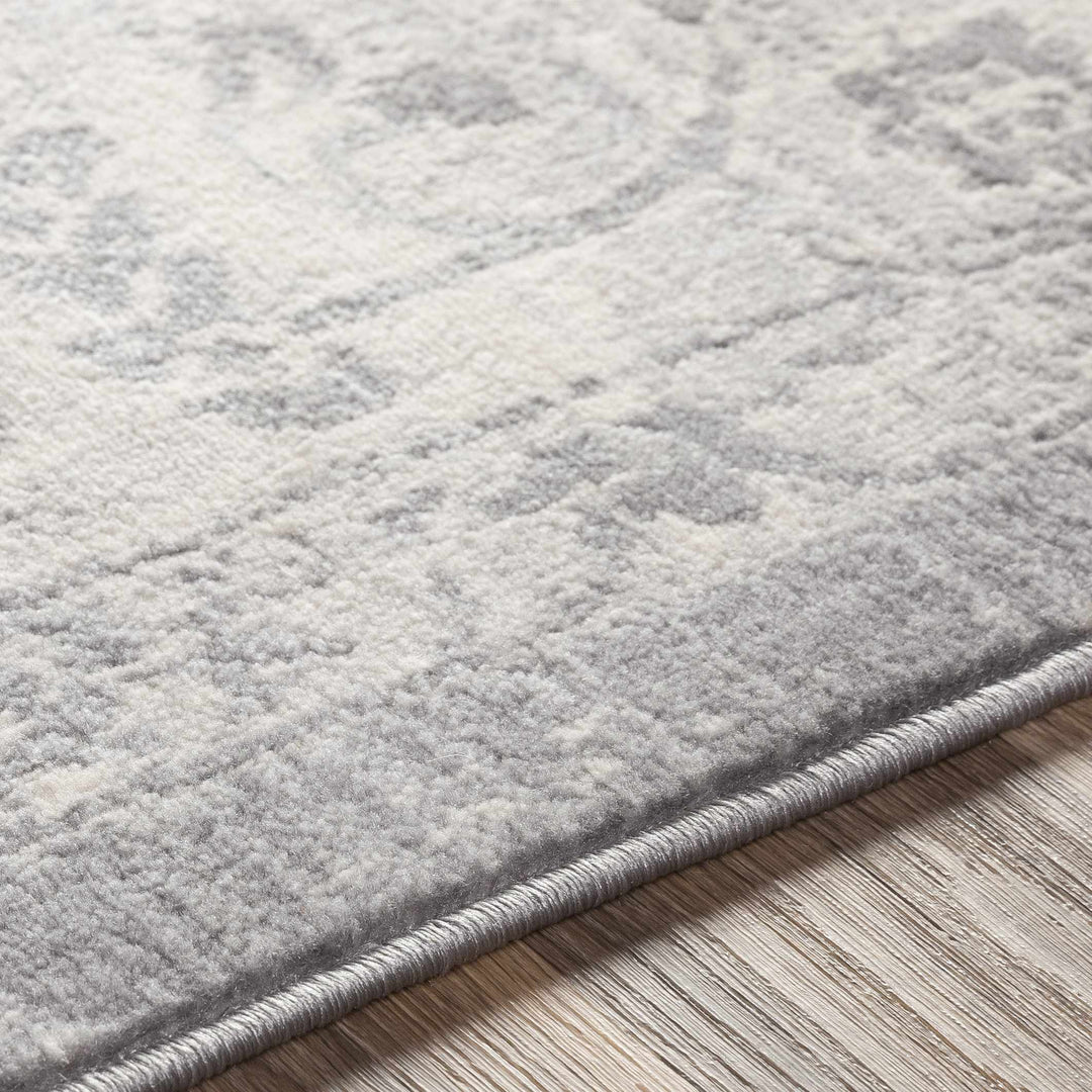 Colonie Traditional Style Gray Area Rug
