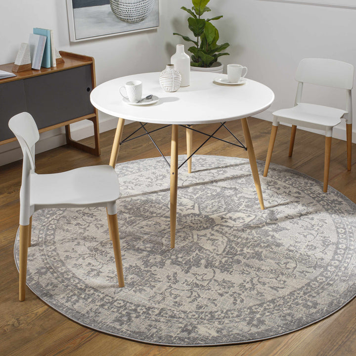 Colonie Traditional Style Gray Area Rug