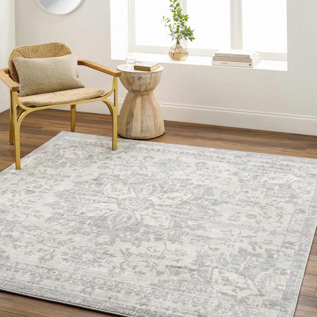 Colonie Traditional Style Gray Area Rug