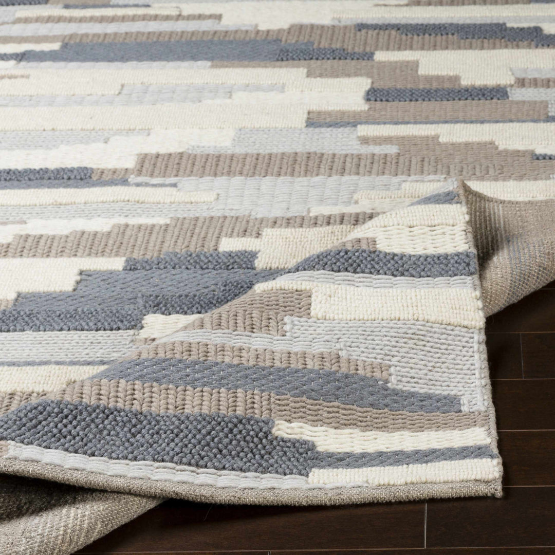 Clarinda Ivory And Gray Modern Style Hand Woven Area Rug