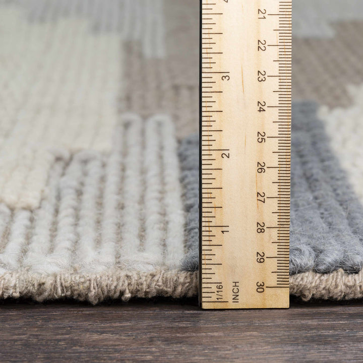 Clarinda Ivory And Gray Modern Style Hand Woven Area Rug