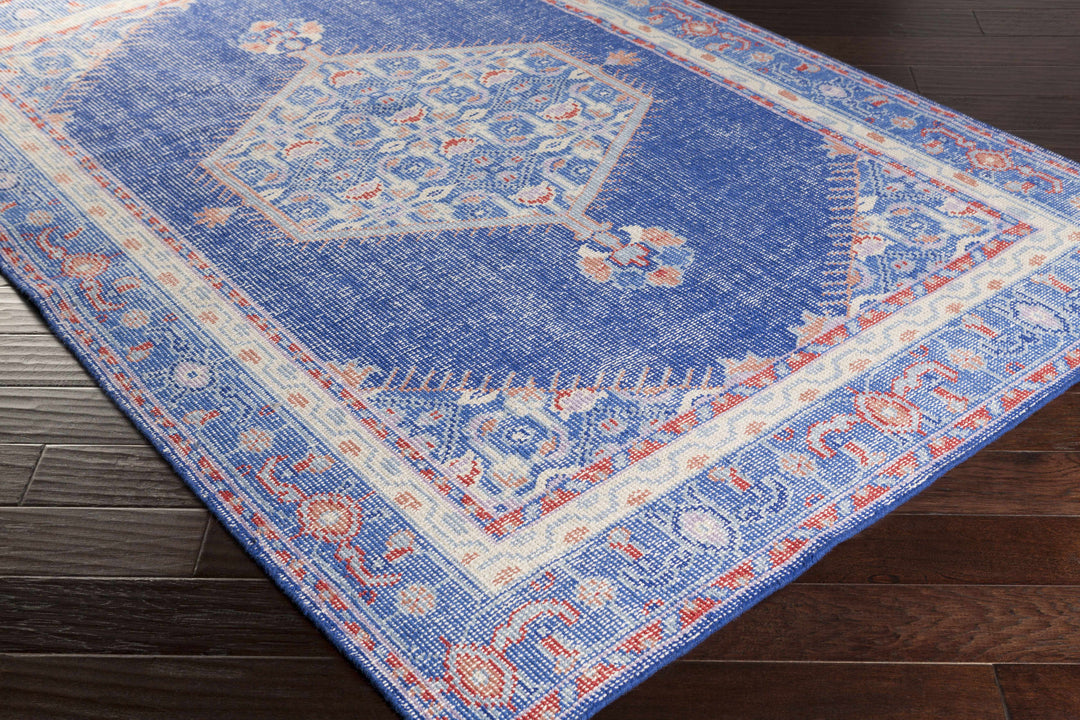 Clearview Traditional Style Blue And Beige Wool Area Rug