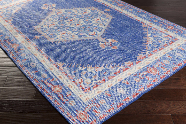 Clearview Traditional Style Blue And Beige Wool Area Rug