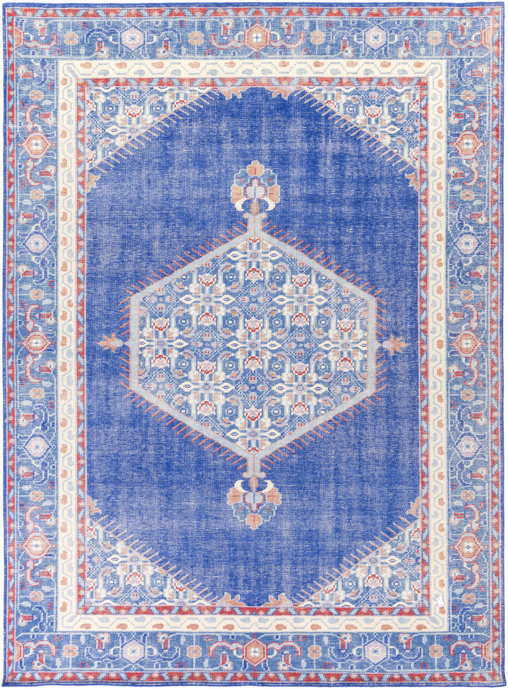 Clearview Traditional Style Blue And Beige Wool Area Rug