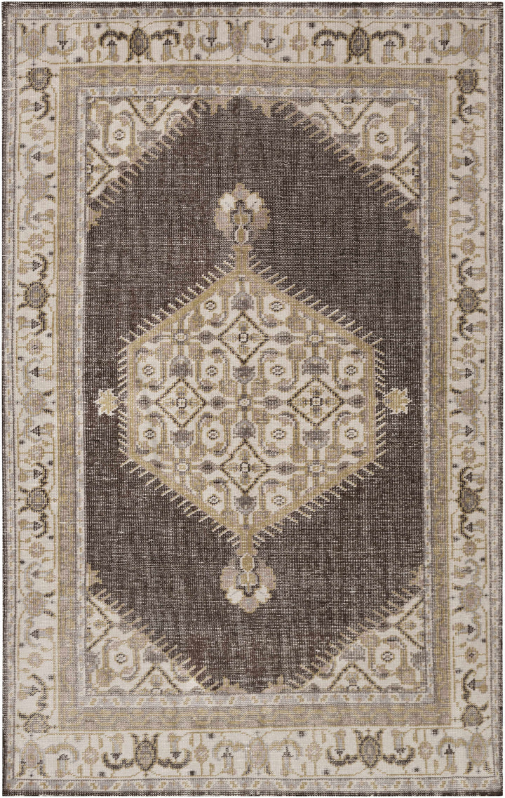 Clyo Traditional Style Brown And Beige Hand Knotted Area Rug