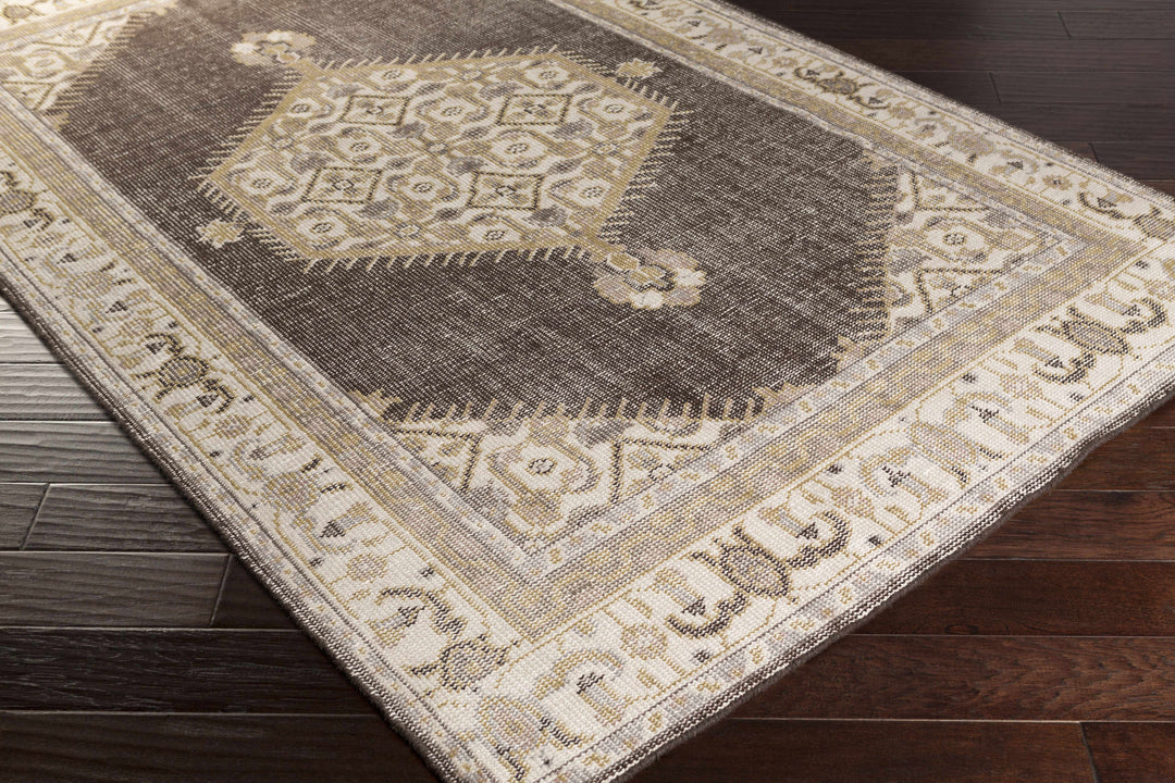 Clyo Traditional Style Brown And Beige Hand Knotted Area Rug