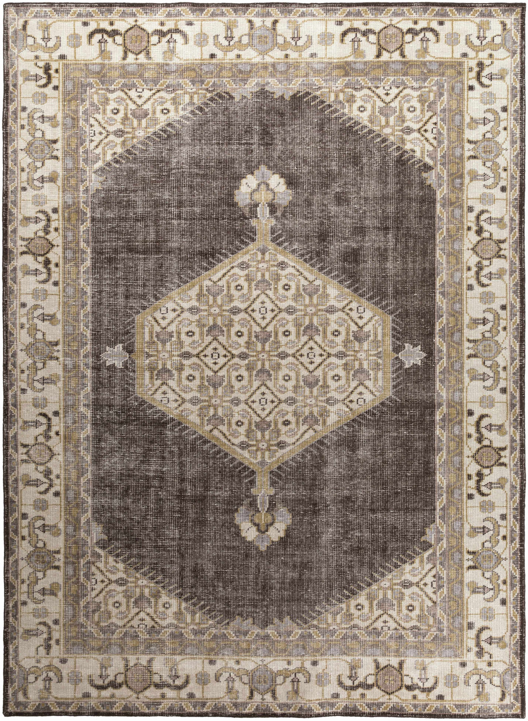 Clyo Traditional Style Brown And Beige Hand Knotted Area Rug