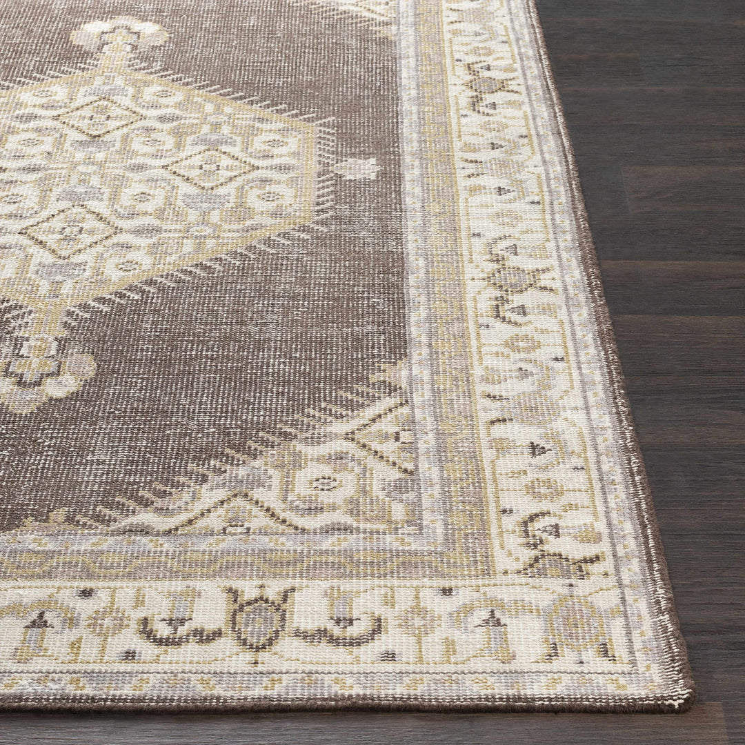 Clyo Traditional Style Brown And Beige Hand Knotted Area Rug