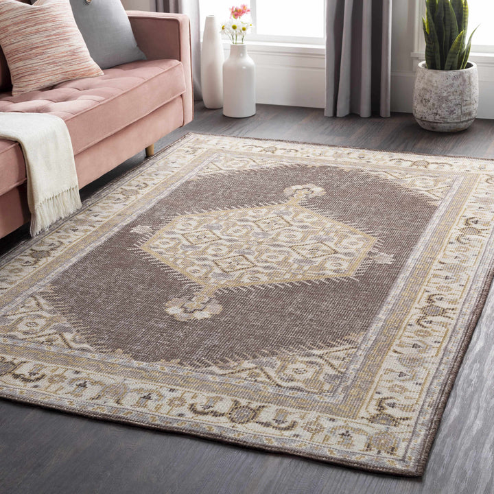 Clyo Traditional Style Brown And Beige Hand Knotted Area Rug