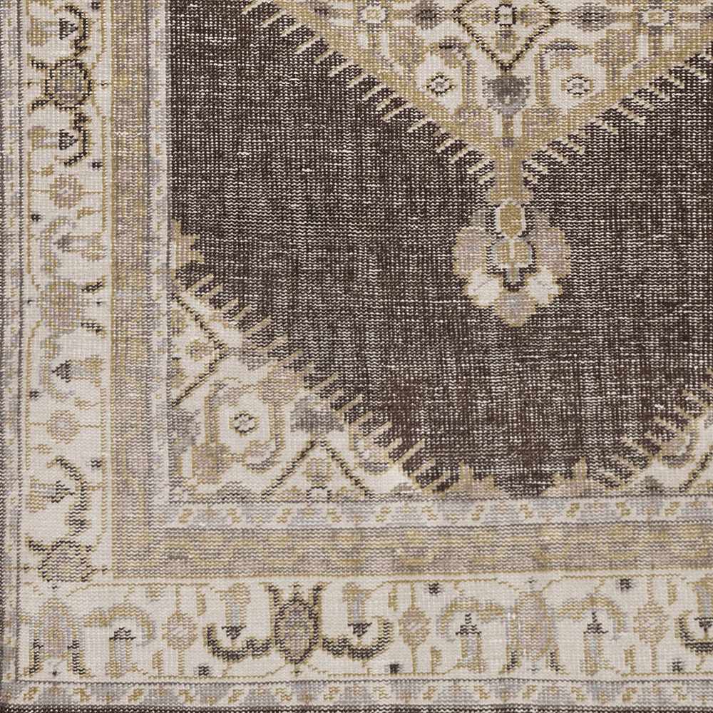 Clyo Traditional Style Brown And Beige Hand Knotted Area Rug