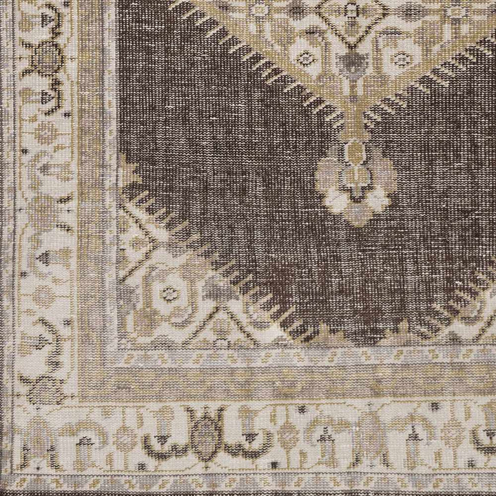 Clyo Traditional Style Brown And Beige Hand Knotted Area Rug