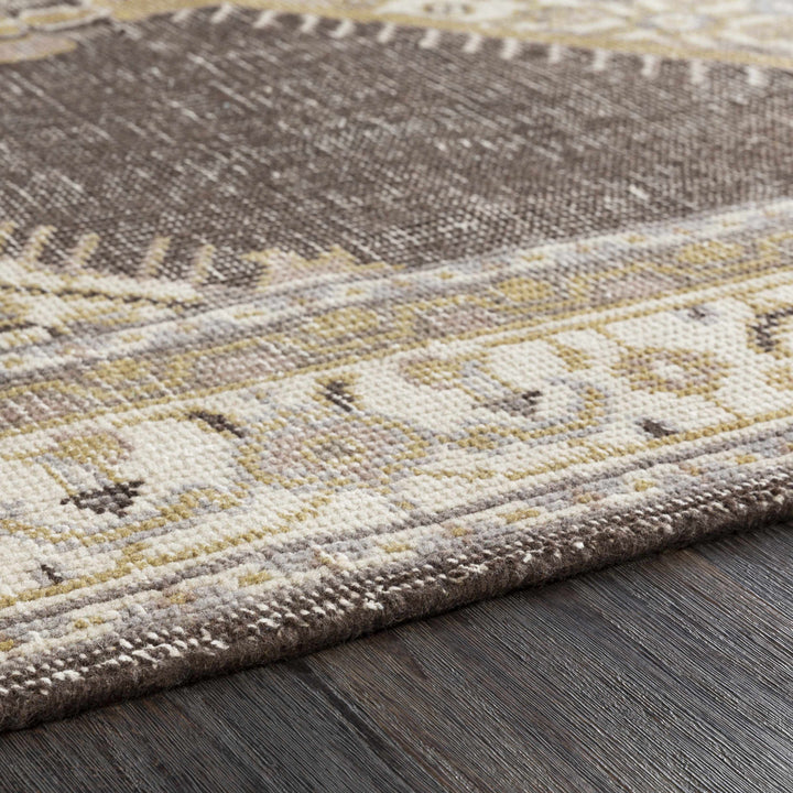 Clyo Traditional Style Brown And Beige Hand Knotted Area Rug